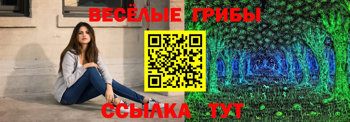 Галлюциногенные грибы GOLDEN TEACHER  Вход с VPN  хочу   Гатчина 